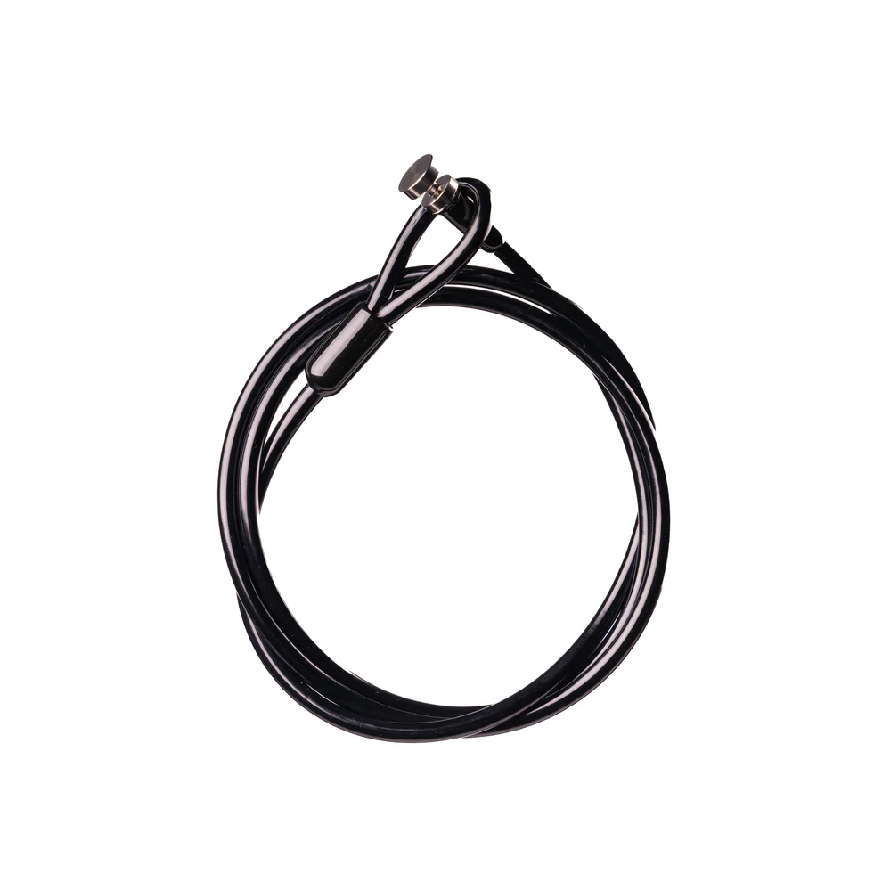 Universal Cable Gun Lock