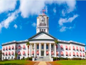 Florida Concealed Weapon License — Online